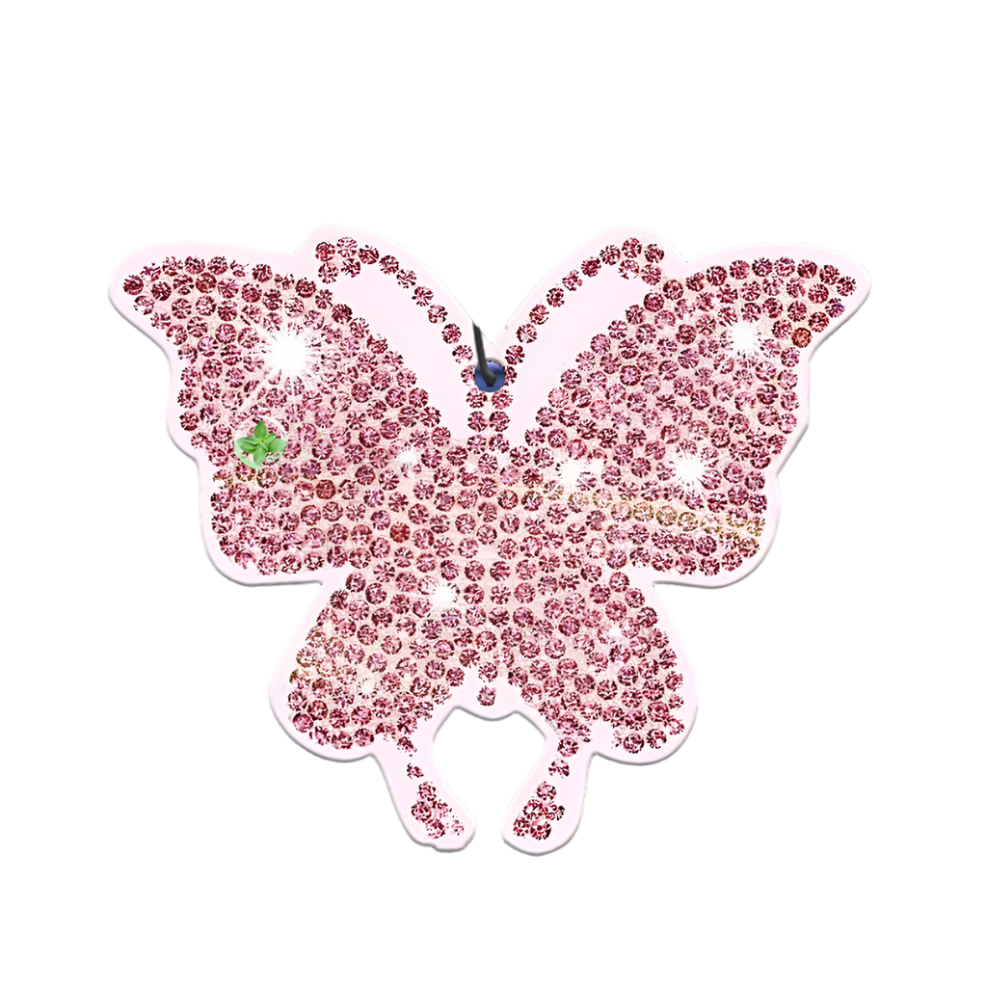 “Glitter Butterfly”