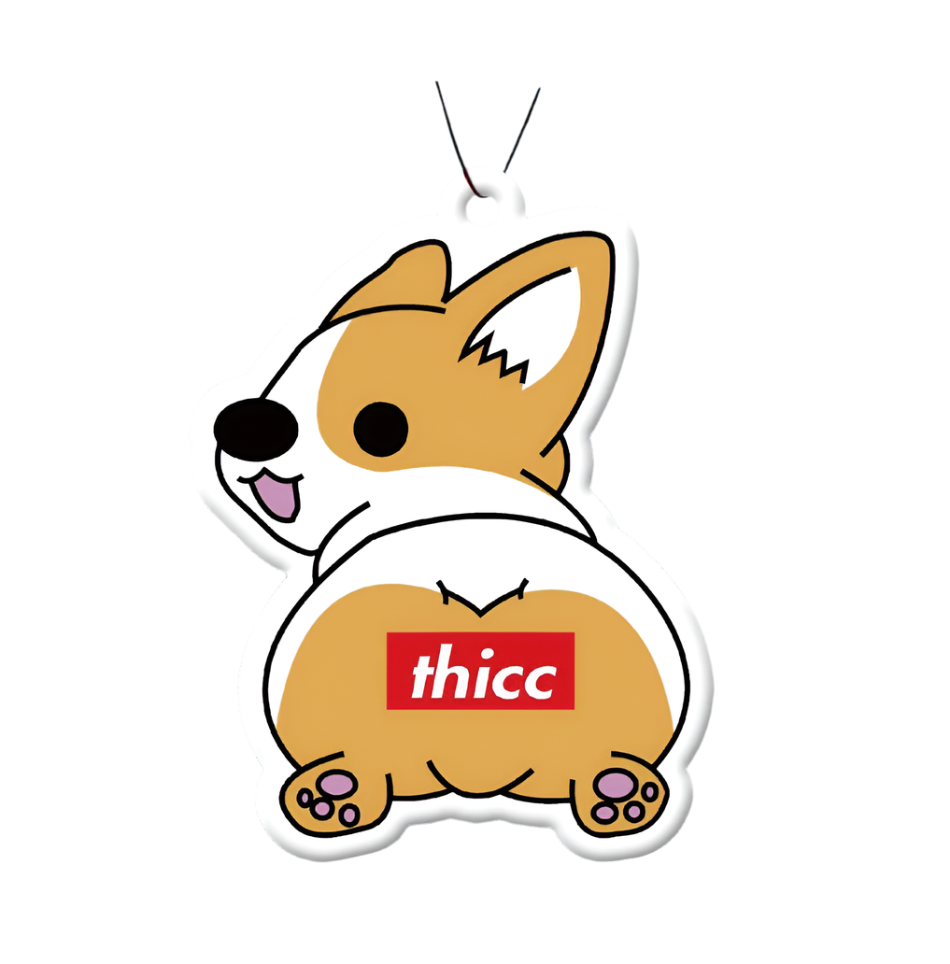 “Thicc Corgi”