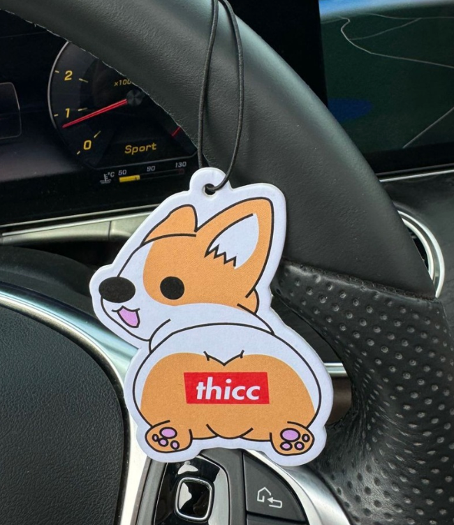 “Thicc Corgi”